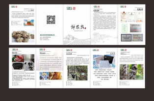 神農架珍品·中墾集團特產畫冊